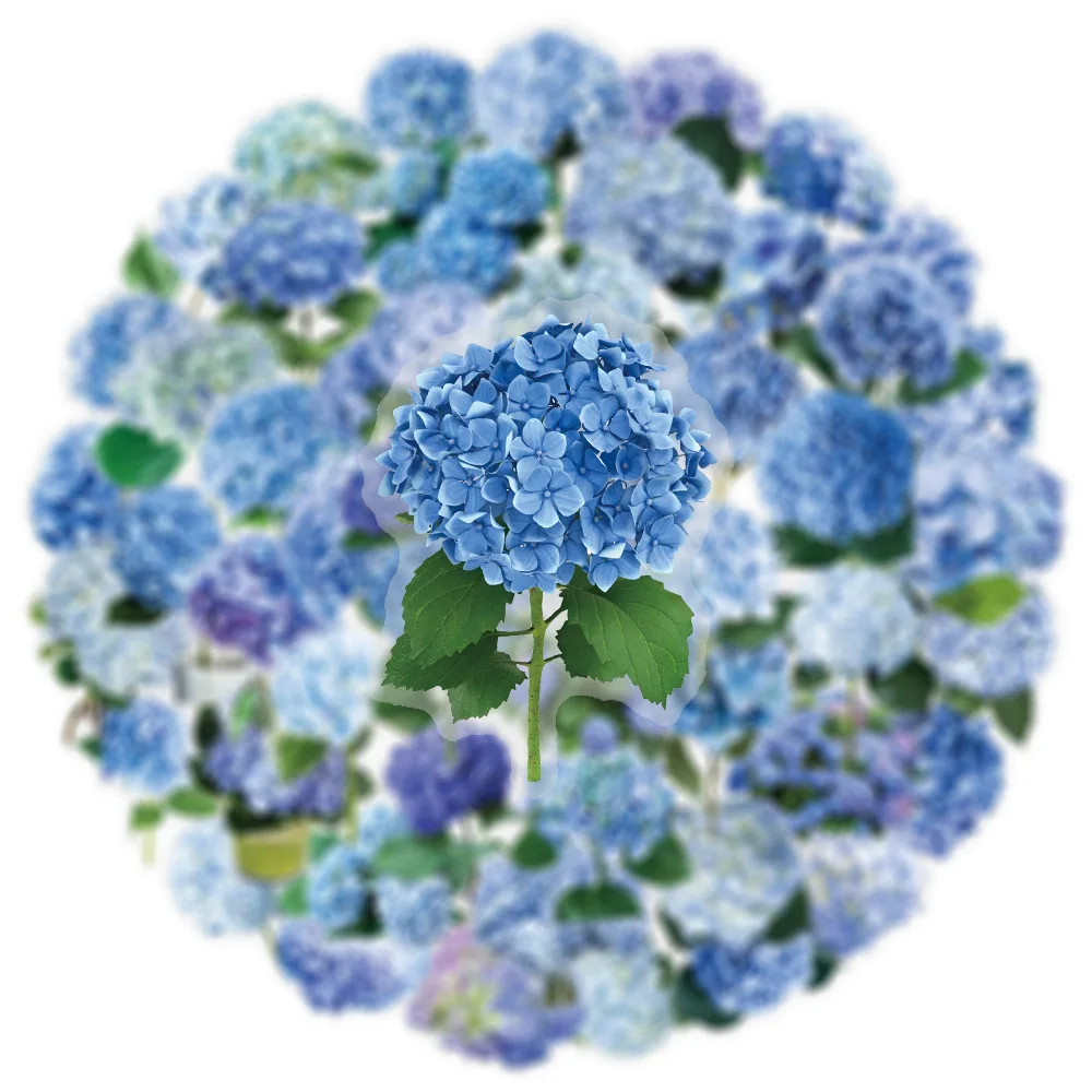 

50pcs Transparent Hydrangea Flower Doodle Sticker Set Aesthetic DIY Decals For Luggage Guitar Notebook Cartoon Bottle Design