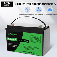 DATOUBOSS 12V100Ah Deep Cycle LiFePO4 Lithium Iron Phosphate Battery Built-in Intelligent BMS For RV Golf Cart Boat Solar System