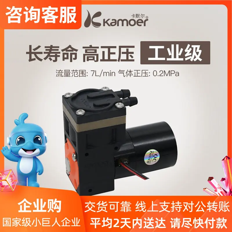 KZP Cardmer Vacuum Pump 12V High Flow Air Pump Brushless Small Gas Compression Membrane Pump for Automotive And DIY Use