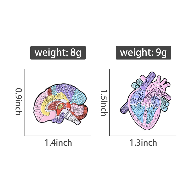 Anatomical Heart Brain Enamel Pins Custom Human Organs Medical Brooch Bag Lapel Badges Jewelry Accessories Gift For Doctor Nurse