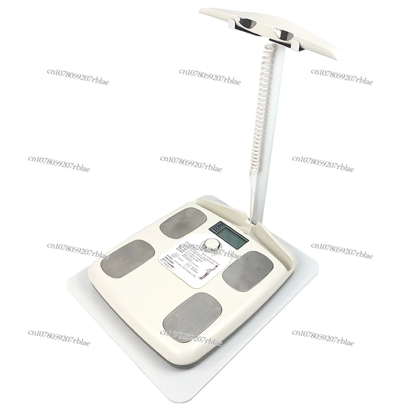 Dedicated Smart Body Fat Scale Bracket Home Electronic Scales Male and Female Professional Household Bracket