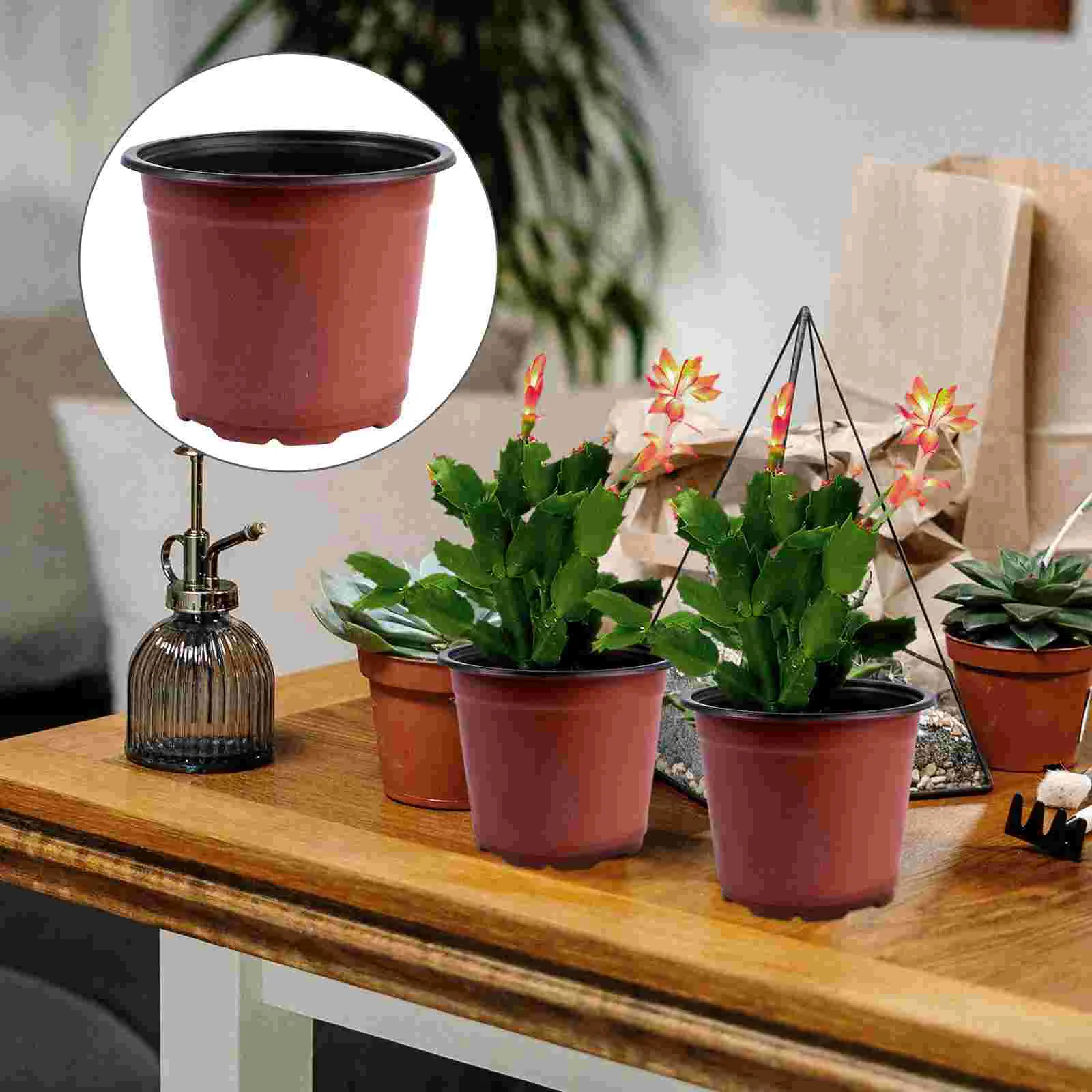 

50PCS Plastic Flower Pots Clear Indoor Garden Plant Containers Breathable Bottom Holes Desk Bookshelf Table Decor