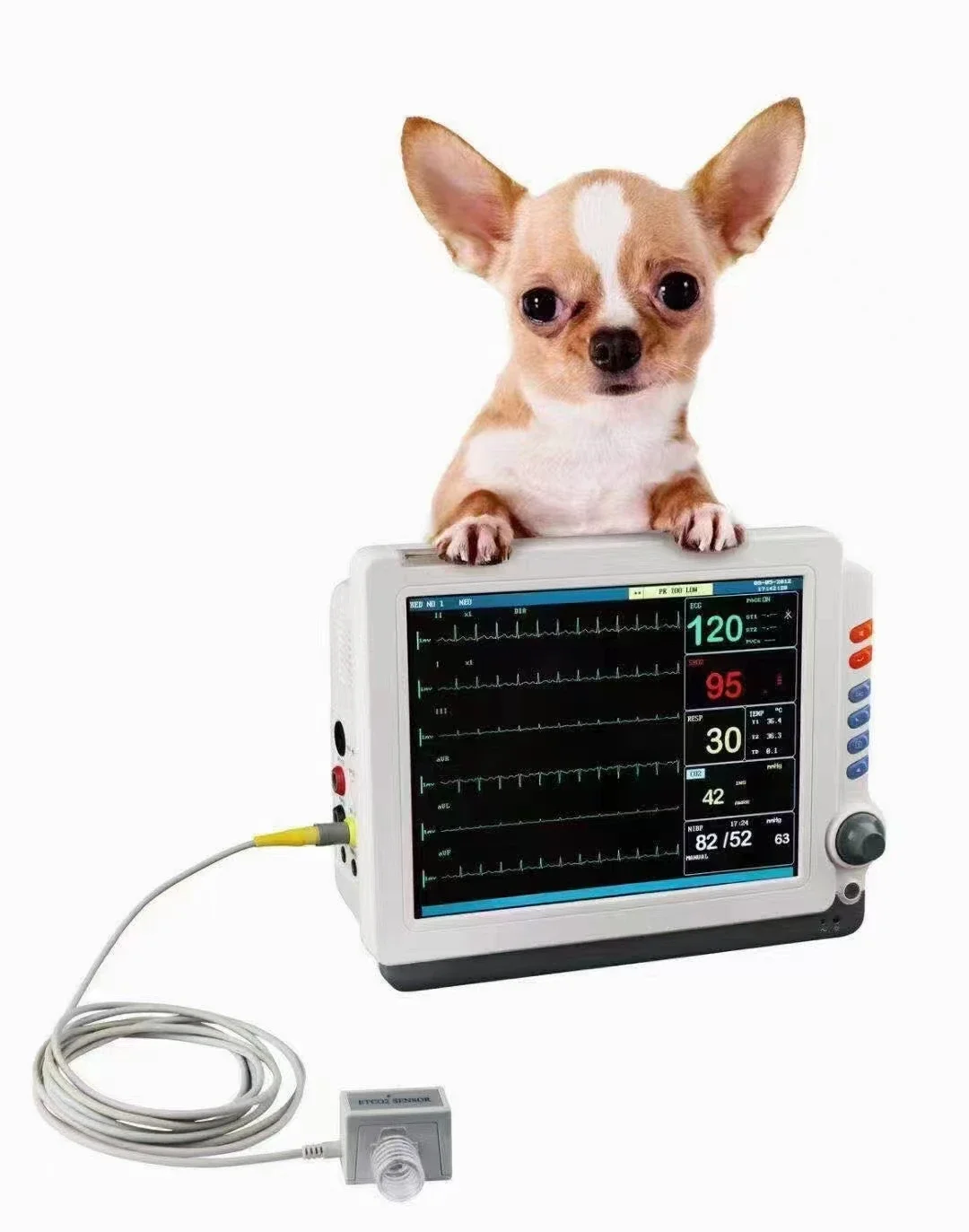 Animal & Veterinary Portable Anesthe Equipment Multiparameter Veterinary Patient Moni For Pet Clinic Use