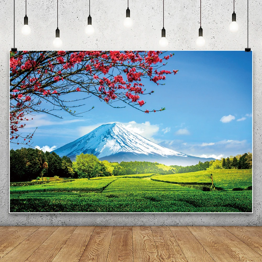 المناظر الطبيعية صورة خلفية الربيع السماء الزرقاء الغيوم البيضاء الجبال الأشجار نهر المناظر الطبيعية الخلابة التصوير خلفية استوديو الصور