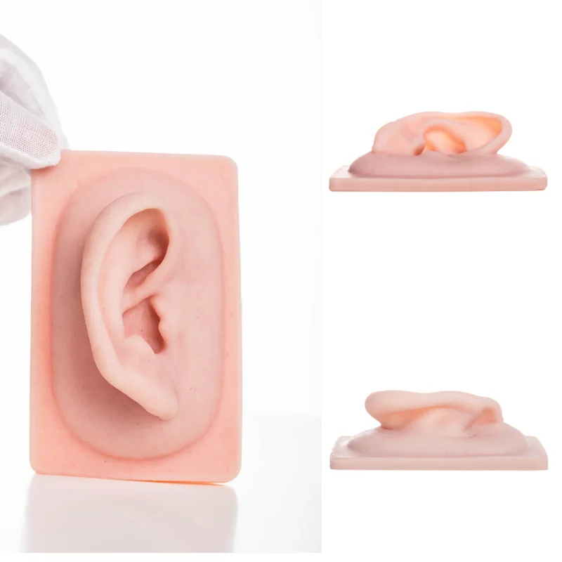 

1 piece of human silicone ear model, soft ear model for body model, for piercing, tattoo practice acupuncture mannequin