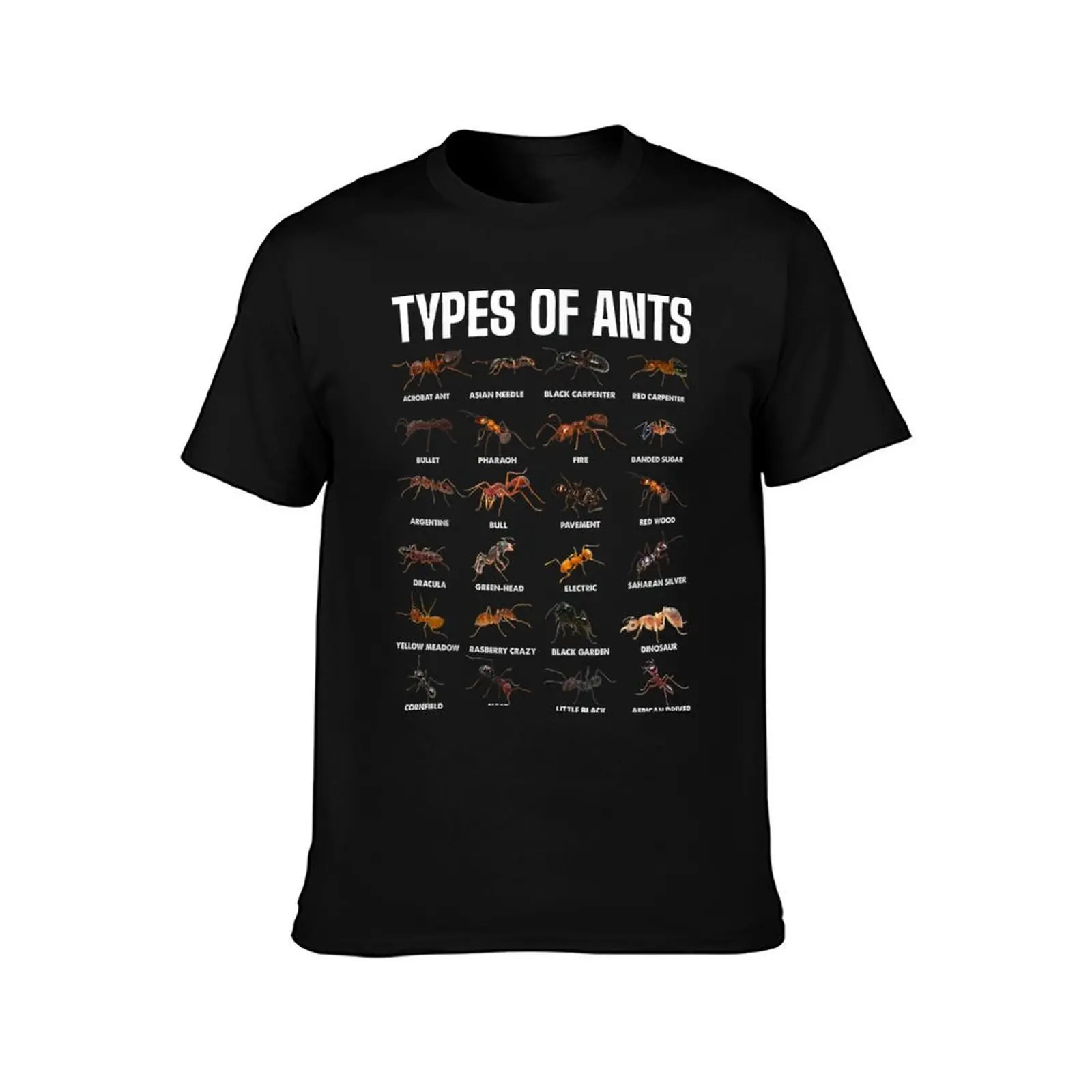 Types Of Ants For Ant Keeper Lovers T-Shirt Heavy Duty Casual Work Tee T-Shirt