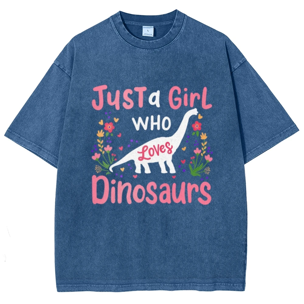 Just A Girl Who Loves Dinosaur Vintage Unisex Washed T-shirt, Funny Toddler Shirt, Dinosaur School Tee
