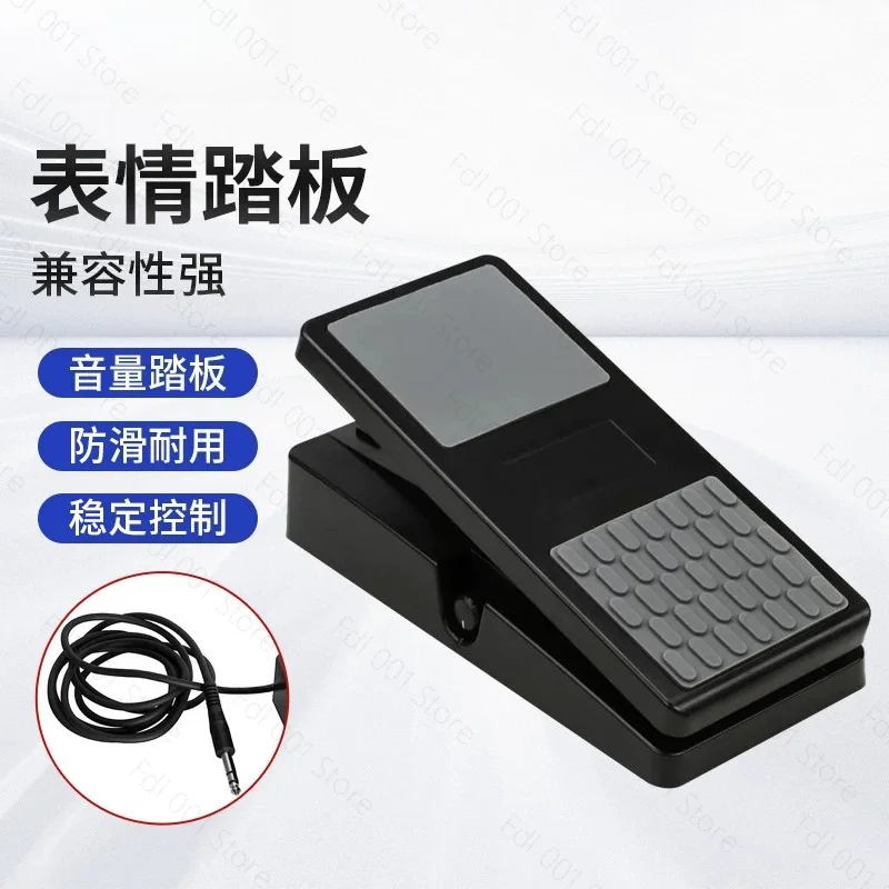 Universal Expression Pedal for Electronic Piano Synthesizer Volume Control Performance Pedal