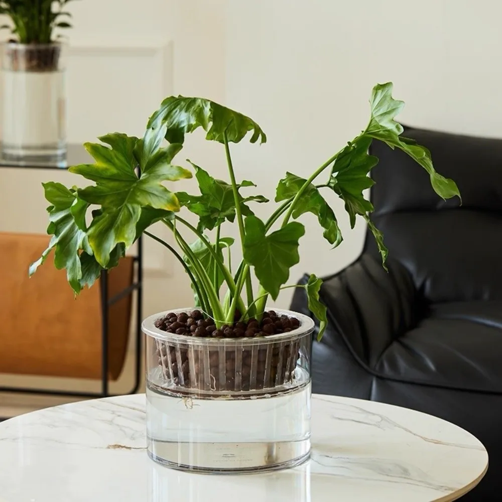 Indoor Plants Clear Hydroponic Vase High Transparent Cylindrical Mini Fish Tank Decorative Modern Lazy Flower Pot Desktop Deco