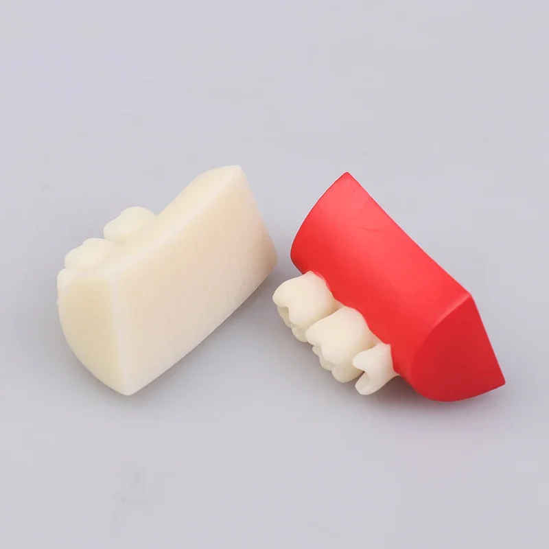 

Dental Inlay Exercise Model Block Filling Exercise Typodont Resin Materials Oral Filling Model For Dentistry Teaching Stud