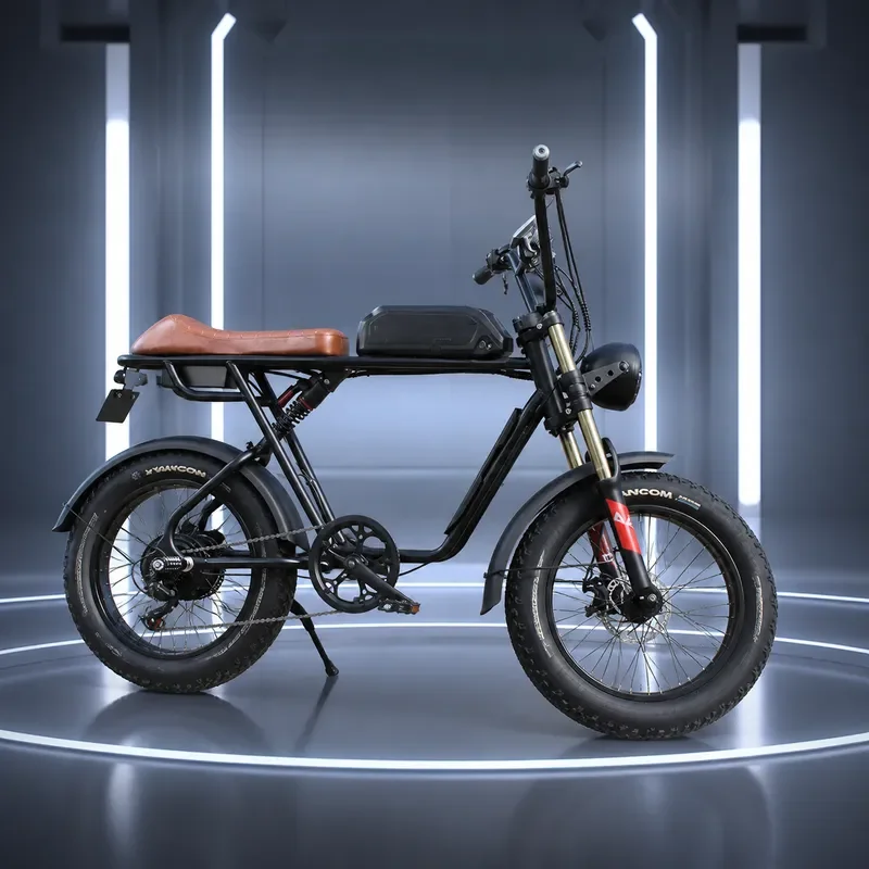 20 Inch Soft Tail Retro Off Road Mountain Bike Variable Speed Snow Assist Bicycle