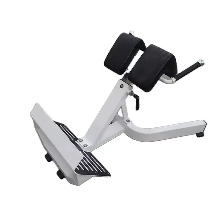 

Roman Chair Commercial Gym Equipment Plate Loaded Hip Thrust Hip Lift Machine For Bodybuilding