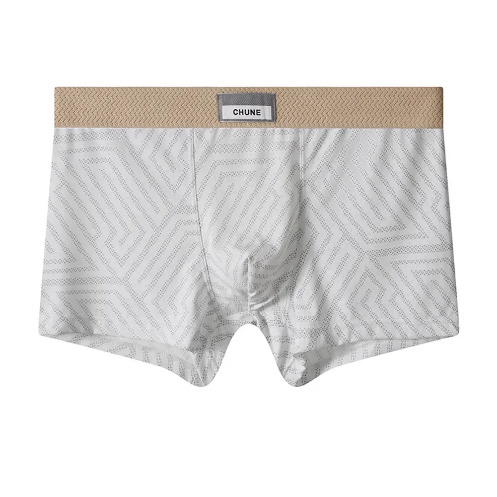 

For Daily Wear Mid Rise Briefs Breathable Underwear Casual Wear Indoor Comfort 2XL Breathable Mesh Boxer Shorts