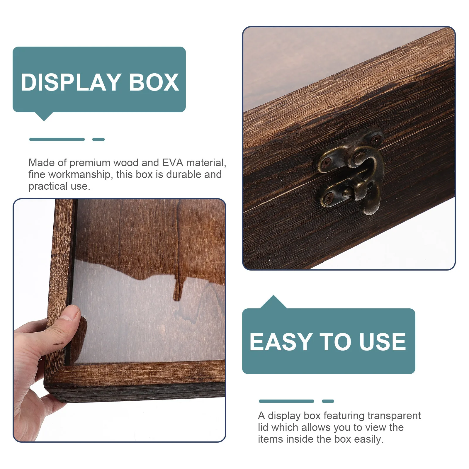 

Specimen Display Box Wooden Insect Showcase Retro Style Clear Lid For Butterflies Jewelry Coins Storage Vintage Collection