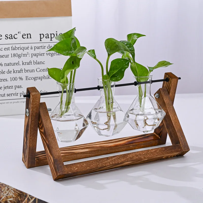Creative Glass Vase Hydroponic Plant Container Tabletop Glass Planter Propagation Station for Home Decoration Anniversary Gifts