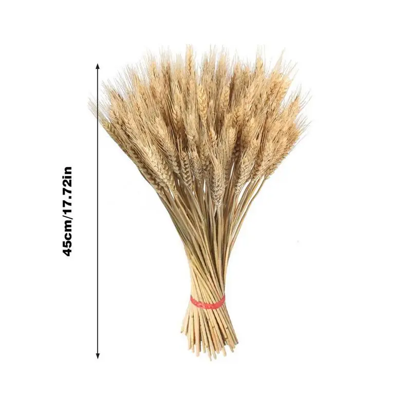 100pcs Artificial Golden Wheat Bouquet Flower Dried Flowers For Wedding Party Decoration Living Room Decoration DIY Craft Wheat - Image 5