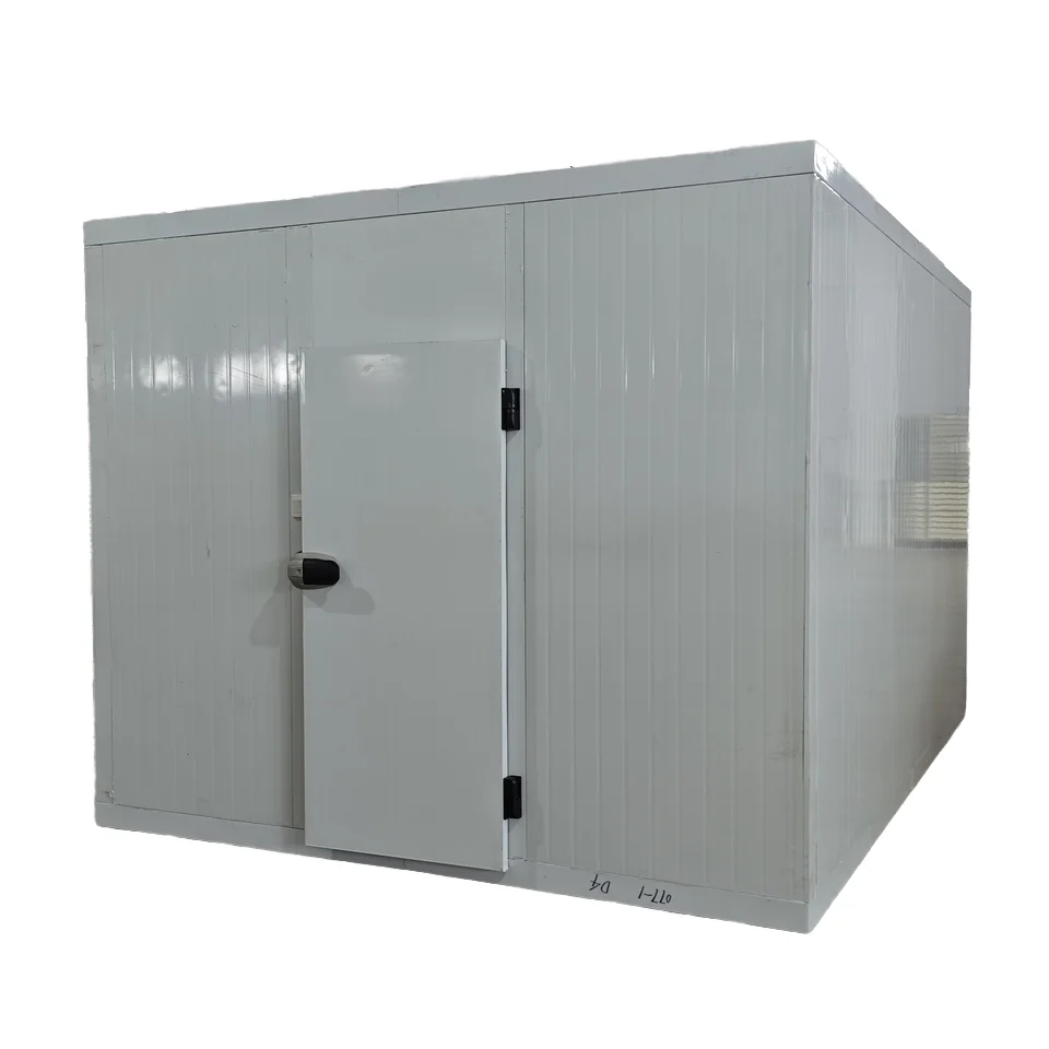 Durable 304 Stainless Steel Cold Room Storage with Sliding Door Walking Cooler Freezer for Seafood and Fish