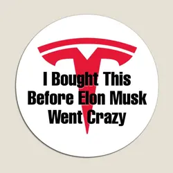 I Bought This Before Elon Musk Went Craz Magnet Magnetic Funny Cute Stickers Children Colorful Holder Decor Toy Baby Home Kids