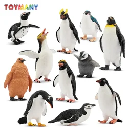 12Pcs Simulation Penguin Polar Animal Model Toy Mini Penguins Figures Dolls Action Figurines Toys for Children Set Gift