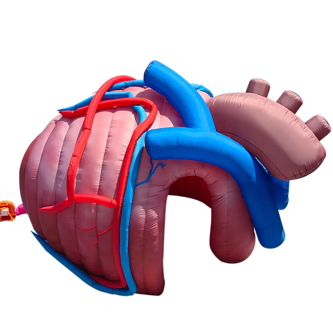 

Outdoor Inflatable Human Heart Model Replica Tent, Heart Inflatable Medical Exhibit with Blower, for Halloween, Educational