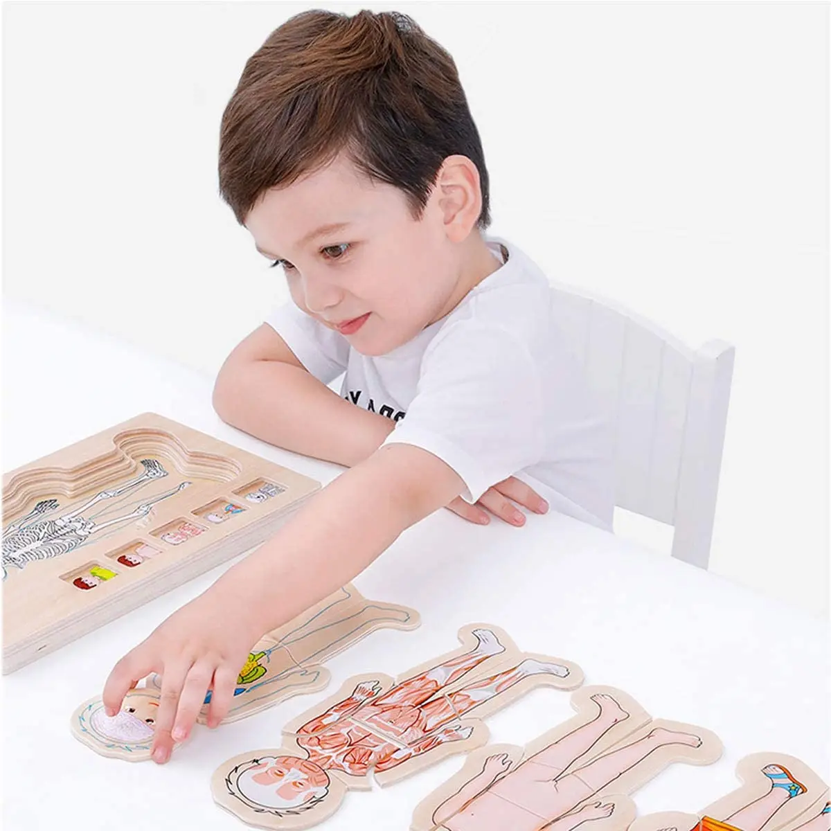 Children Wooden Human Body Puzzle Anatomy Play Skeleton Toy 5 Layers Body Structure Montessori Jigsaw Puzzles Preschool Learning