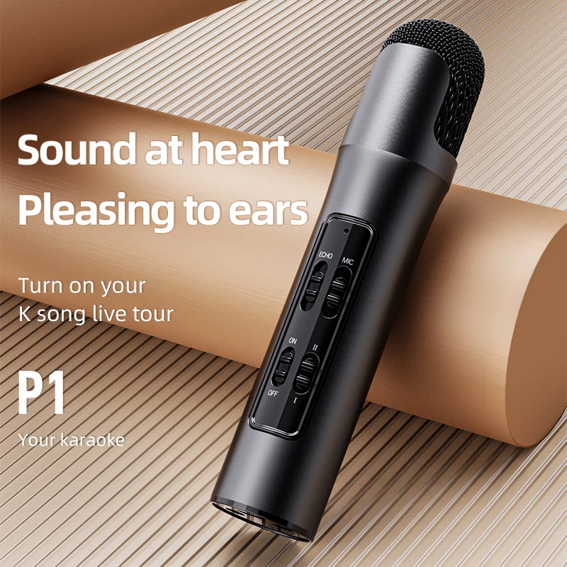 P1 Mini Handheld Condenser Microphone Live Recorder For Mobile Phones And Computers Dedicated To K Songs