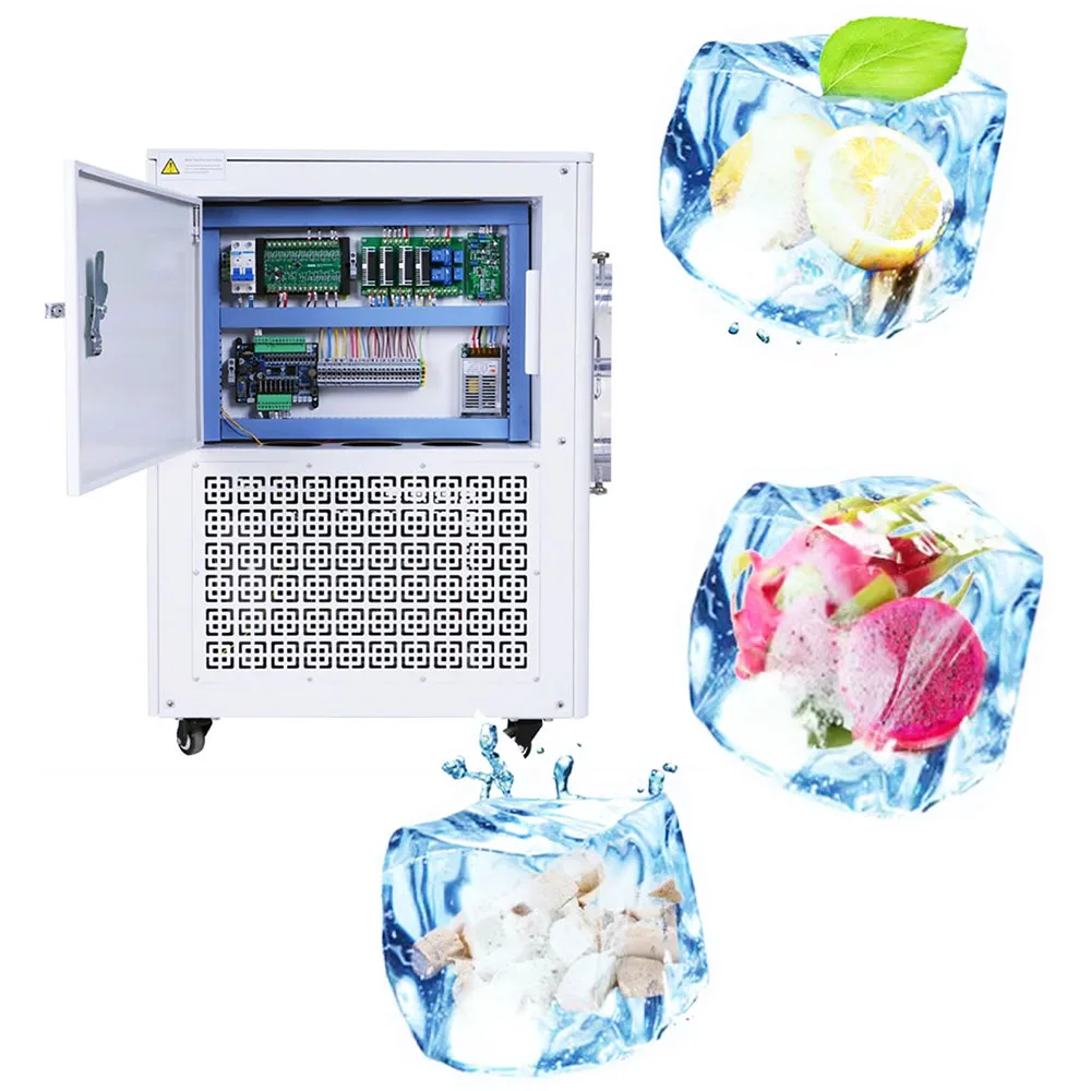 Machine Use Shipping Lyophilizer 4 Tray Door Harvest Right Fruit Food Vegetable Vacuum Freeze Dryer