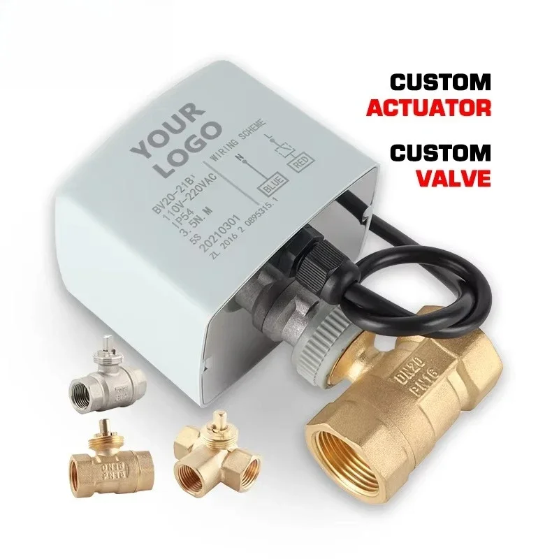 

Electric Ball Valve Actuator with DN20 Valve Brass and Plastic Water ODM