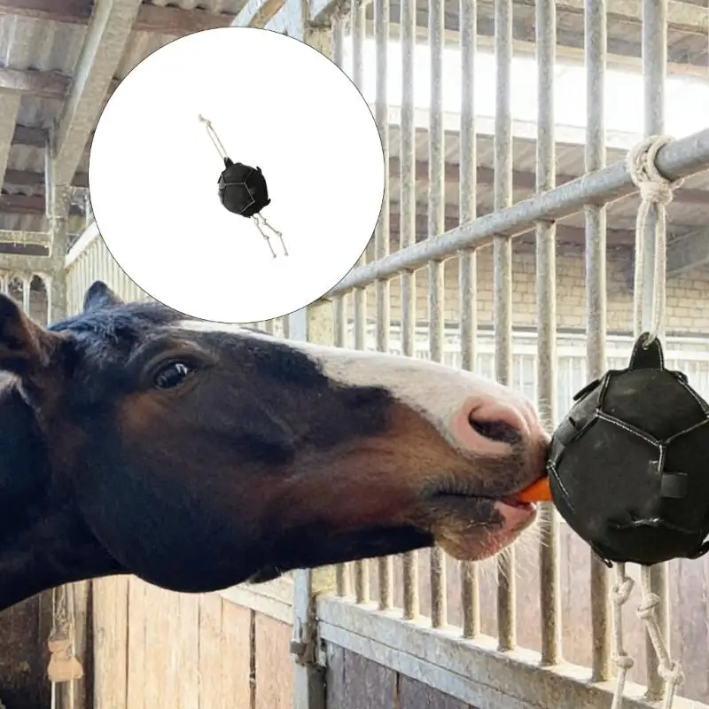 multipurpose-equine-training-equipment-for-goats-feeding-and-recreation-jome