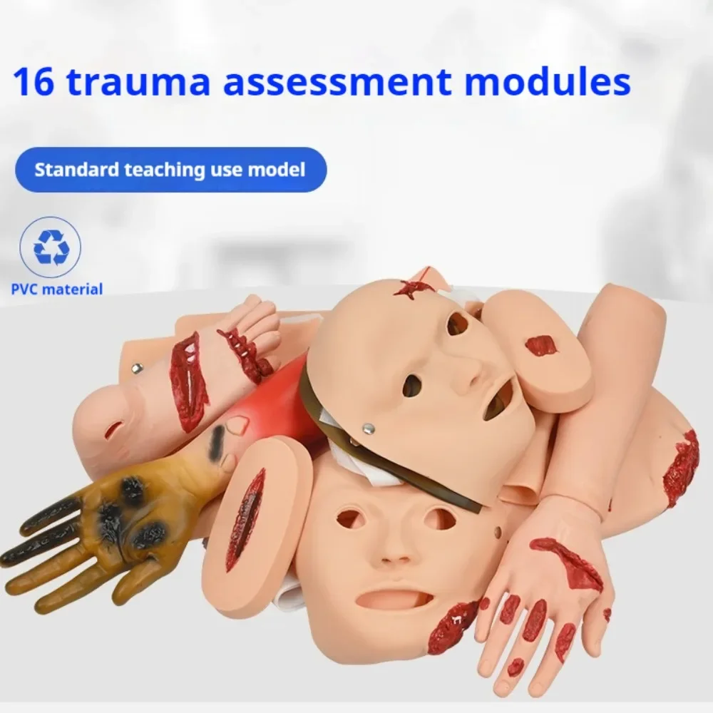 16 Pcs Trauma Evaluation Module Emergency Care  First Aid Simulation Model Teaching Equipment training model