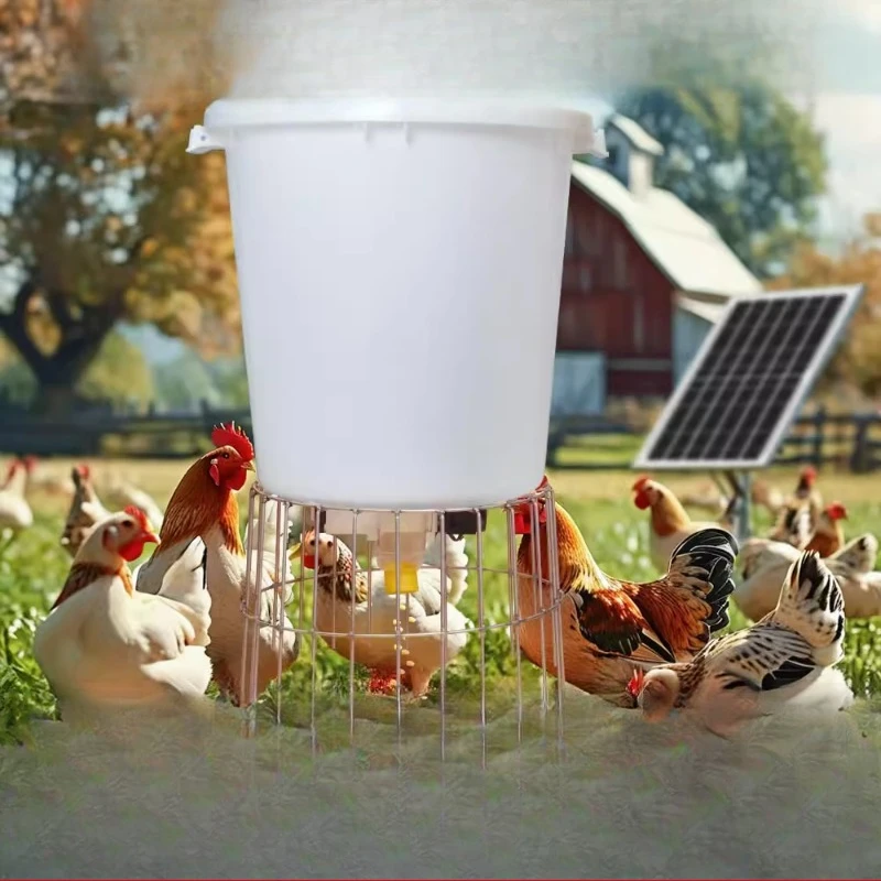 

Automatic timed feeder Automatic chicken feeder