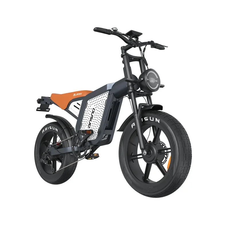 48V 23Ah Lithium battery 20Inch Electric bicycle Snow Off-road Hydraulic Brake E bike X60G Electric Bike 1500W Dual Motor