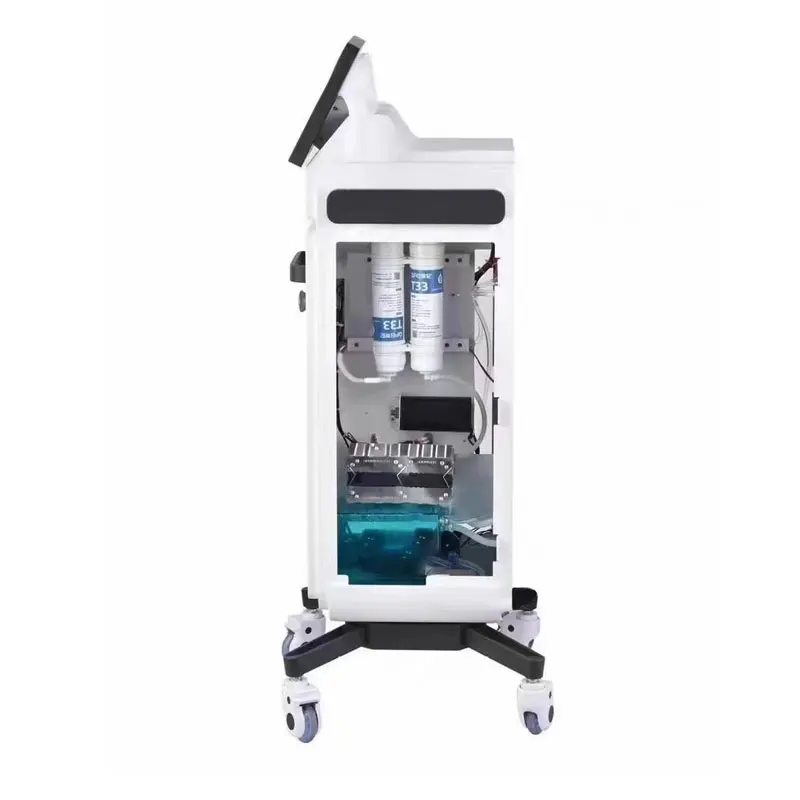 Appareil multifonctionnel intégré pour salon de beauté, 810 Ice Point Renish, Utilisation