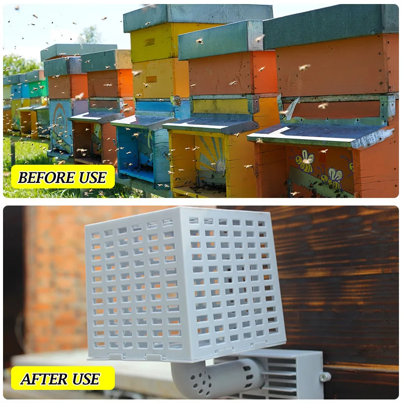 Auto swarm trap queen excluder multi-functional bee cage catcher beekeeping equipment hive tool supplies