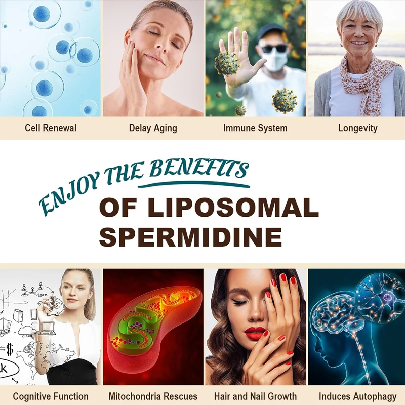 15MG Spermidine supplement, liposome arginine, containing zinc and thiamine, cell renewal, anti-aging, 60 capsules soft