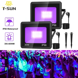 1PC/2PCS 30W LED UV Black Lights IP66 Stage Blacklight Ultraviolet Flood Effect Light for Halloween Xmas Dance DJ Disco Party