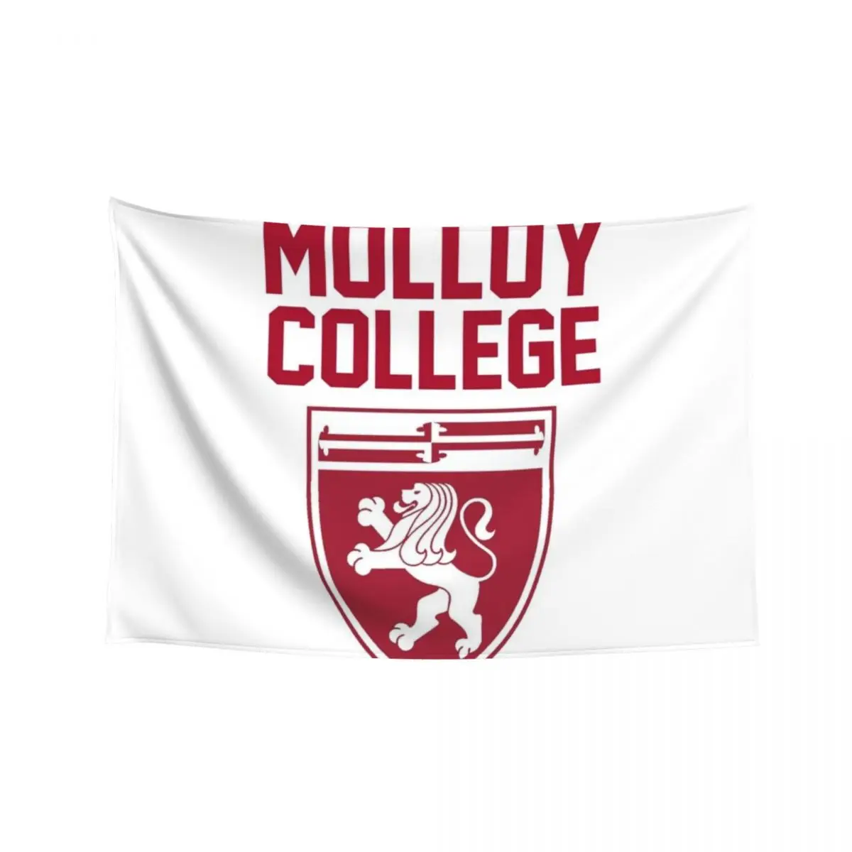 

Molloy College Tapestry Decoration For Rooms Wall Hangings Decoration Room Decor For Girls Tapestry