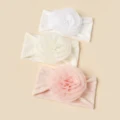 Rose flower