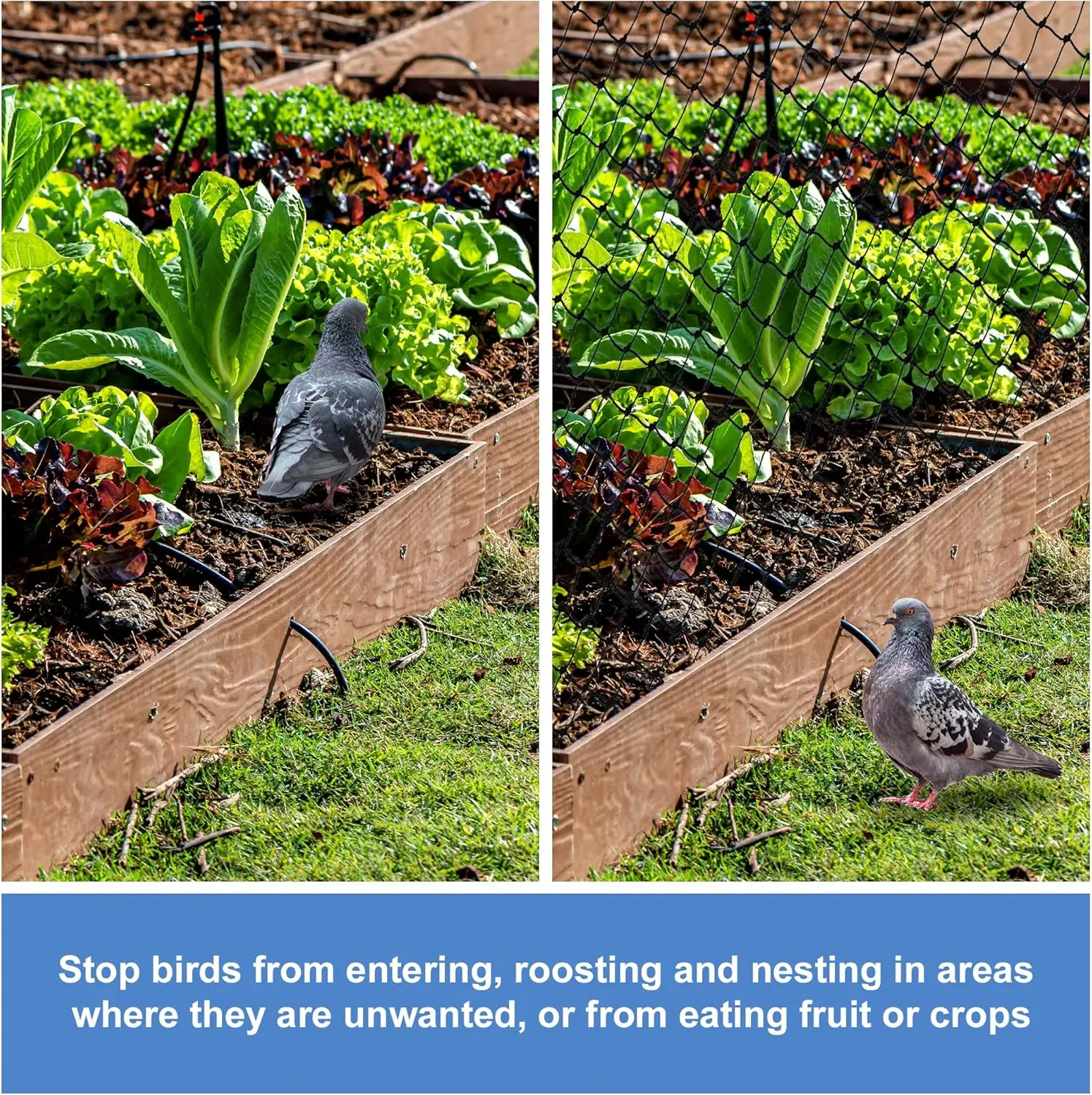 Stahldrahtverstärktes Katzennetz für Balkon, Katzen-Anti-Fall-Netz, Gartennetz, Anti-Vogel-Netz mit Draht für Fenster, Treppenrasen – Detail 10