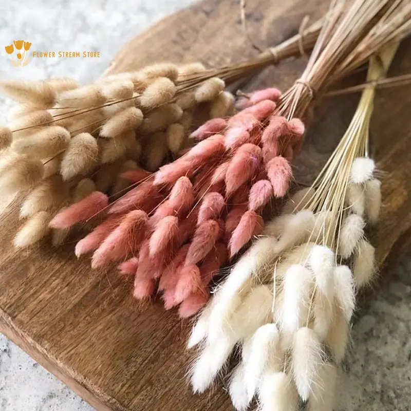 Dried Flower Natural Pampas Rabbit Tail Grass Fluffy Reeds Flowers Bouquet Boho Decor Flora For Living Room Wedding Party