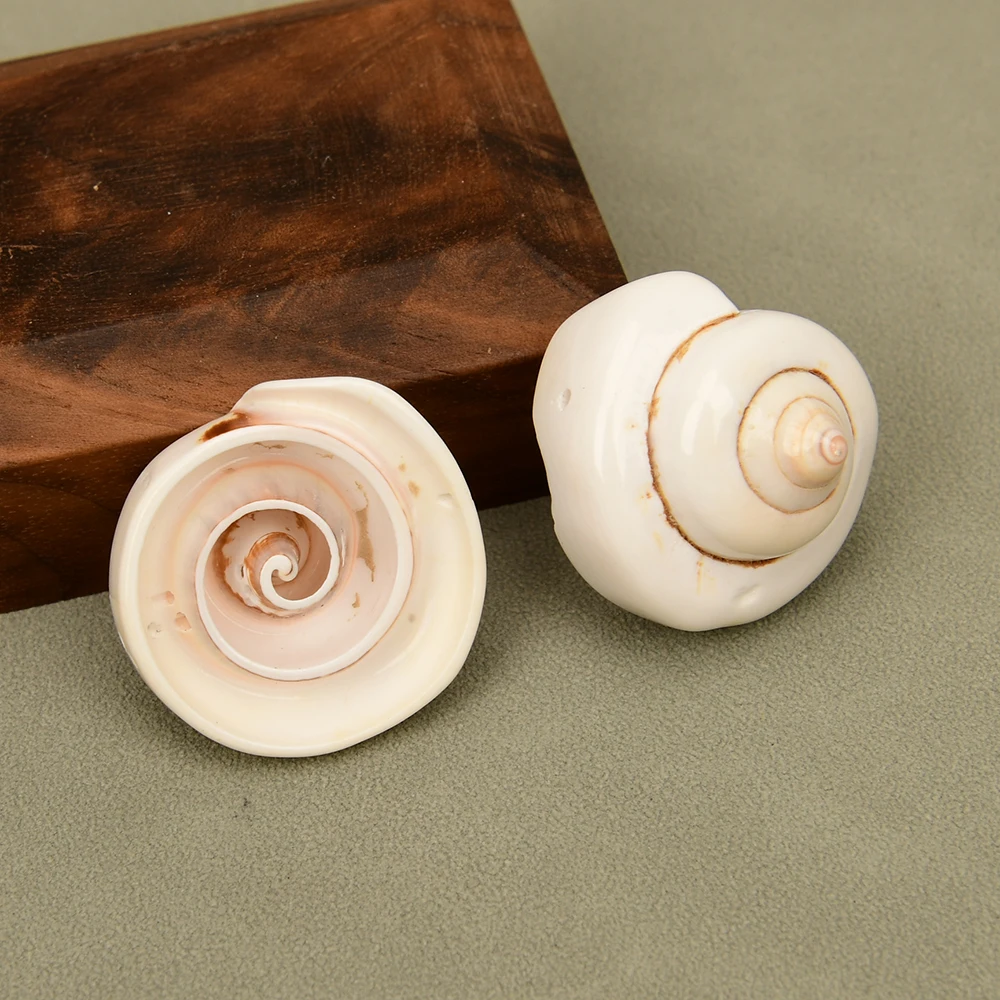 20 Pcs Natural Sea Shell Beads Mop Snail Home Pearl Necklace Pendant Jewelry DIY