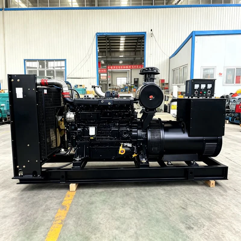 Disaster Recovery Gen Set 25KVA 400V AVR Gas Post Earthquake Relief Debris Removal Equipment Temporary Grid Recovery Customized