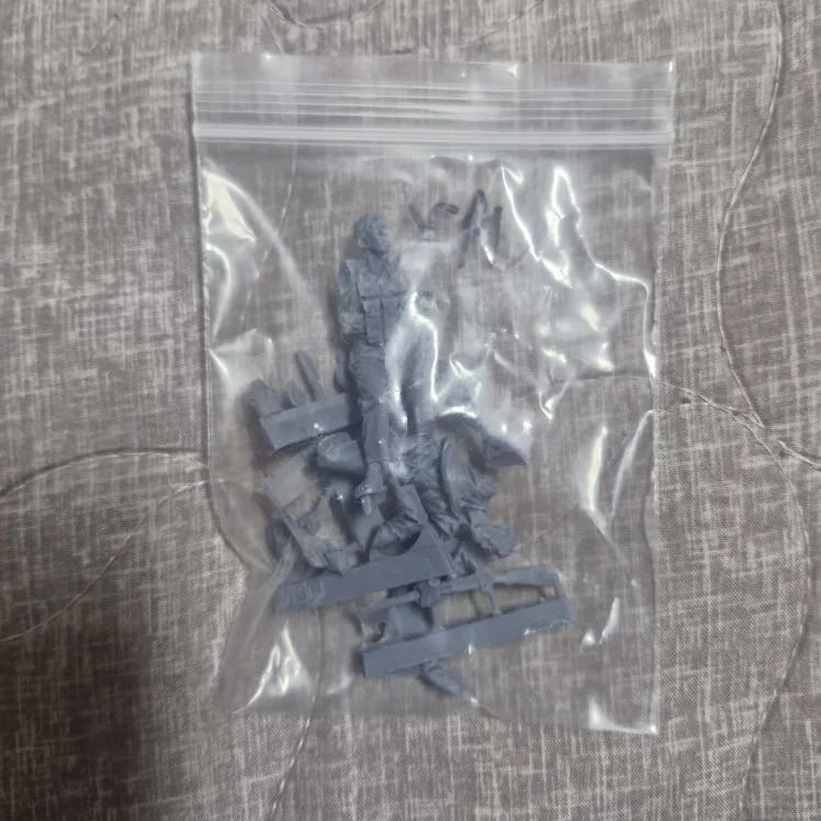 Buyer photo of this resin kit