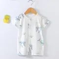 Beluga whale