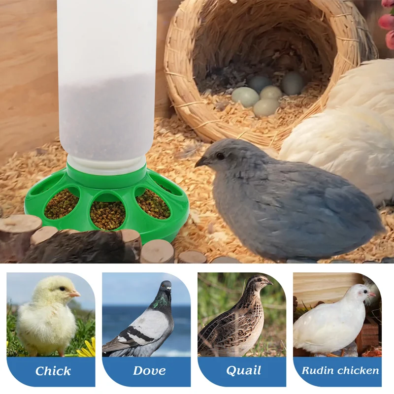 1L Chicken Feeder Bucket Water Fountain Automatic Chick Drinker Bucket Drinking Quail drinking Bird equipment Waterer