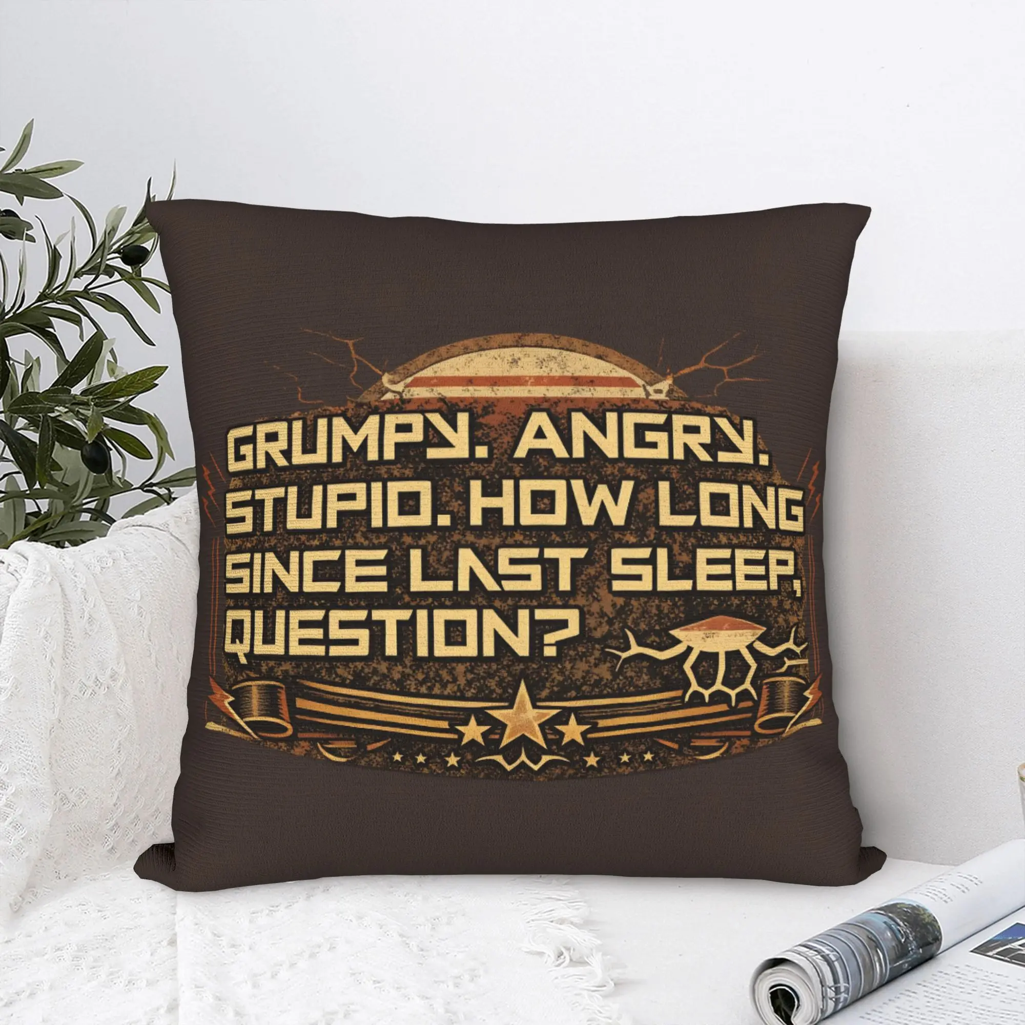 Project Hail Mary Pillow Case  Comfy Pillow Cover For Couch Sofa Bedroom Novelty Pillowcases