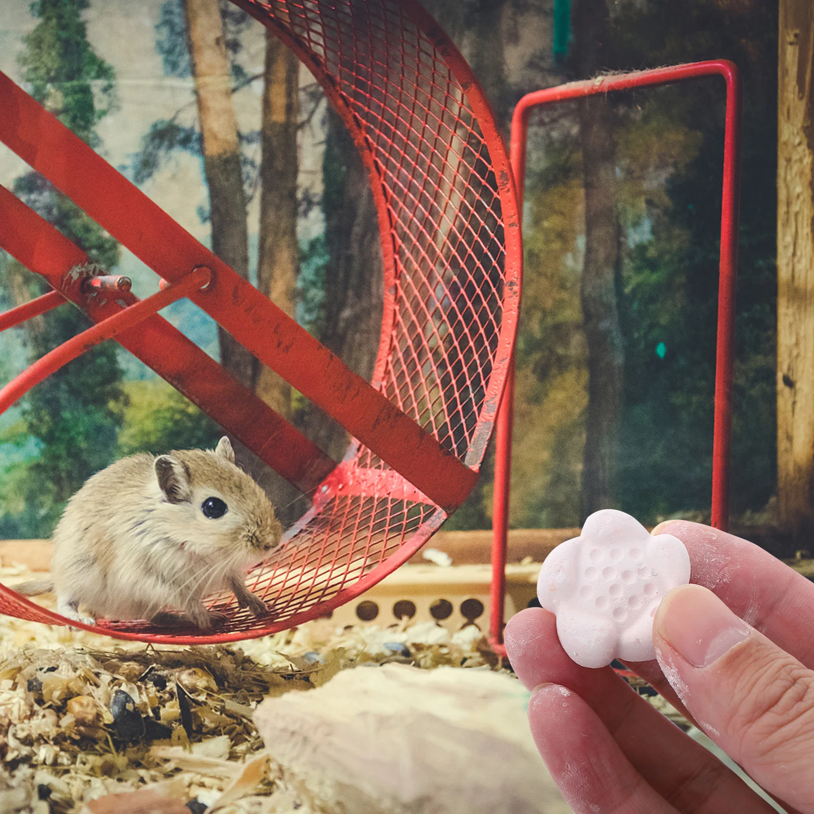 

15 pcs Natural Mineral Calcium Chew For Small Pets Banana Grape Shape Teeth Grinding Stone For Hamster Rabbit Parrot Cage