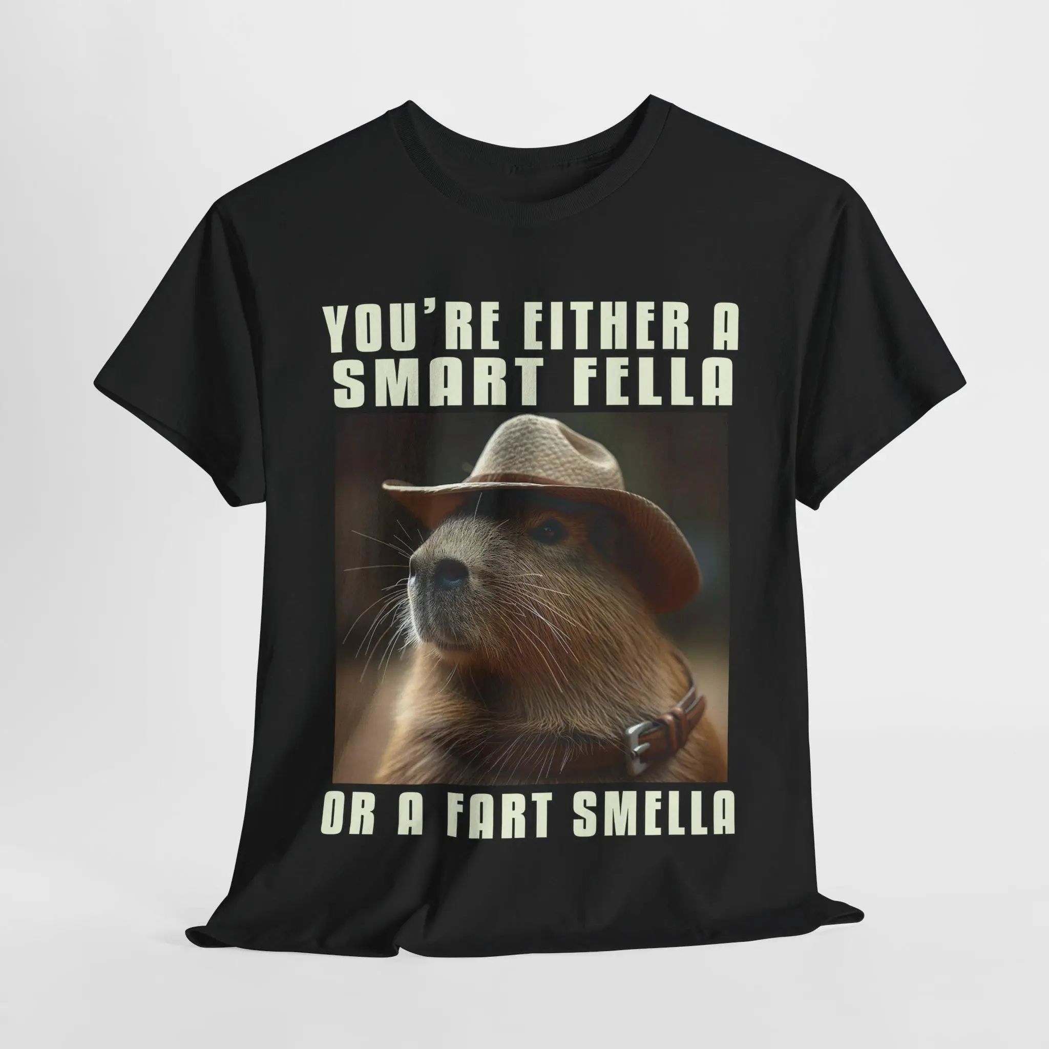 

You're Either A Smart Fella or A Fart Smella Funny Capybara Meme T-Shirt Men's and Women's Short Sleeve Cotton Tees Men Clothing