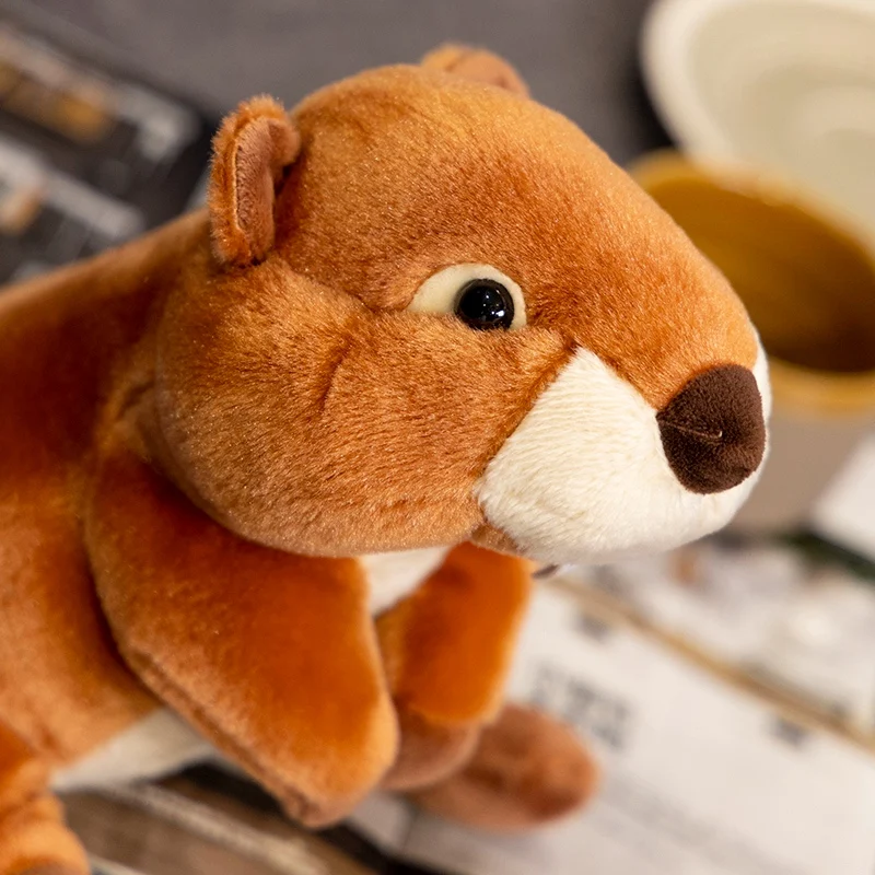 محاكاة 20 سنتيمتر Marmot جرذ الأرض سمور الاصطناعي ألعاب من نسيج مخملي ديكور مضحك الحيوانات اللعب عيد ميلاد هالوين هدايا للبنين بنات