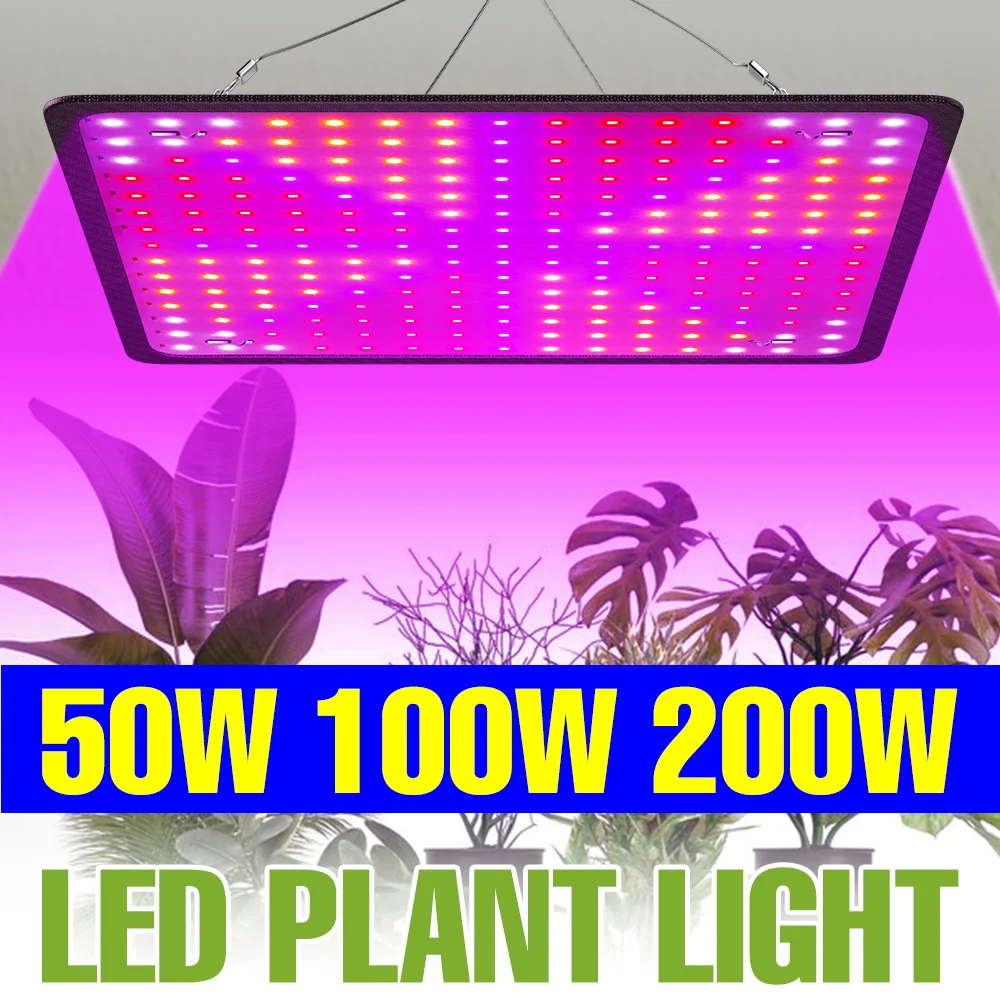 

200W Full Spectrum Plant Grow Light Indoor LED Quantum Board Seeds Fill Lamps Greenhouse Tent Fruit Flower Cultivation Lighting